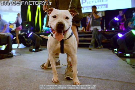 2015-06-13 Milano in the Cage 2015 - Mixed Martial Arts 0184 Out of the Cage